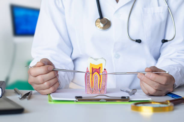 Best Emergency Root Canal Therapy in Amarillo, TX